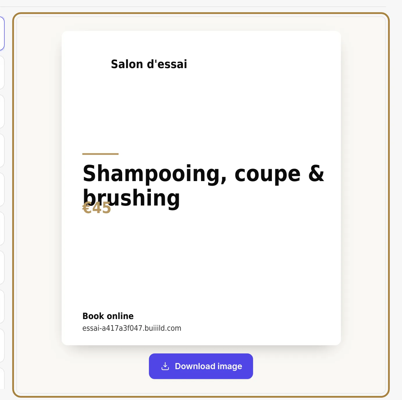 The preview, in your salon's colours.