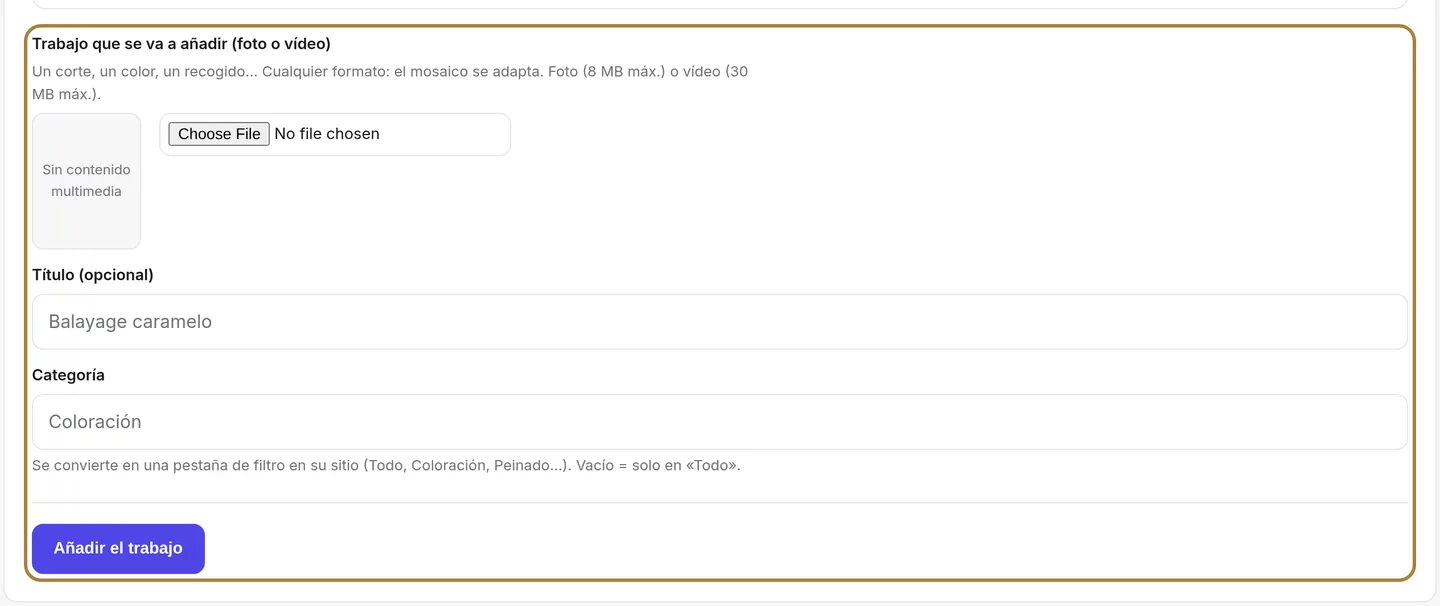 El portfolio: un trabajo, un título, una categoría.