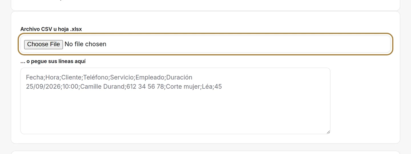 El archivo exportado, o líneas pegadas. | Buiiild.com