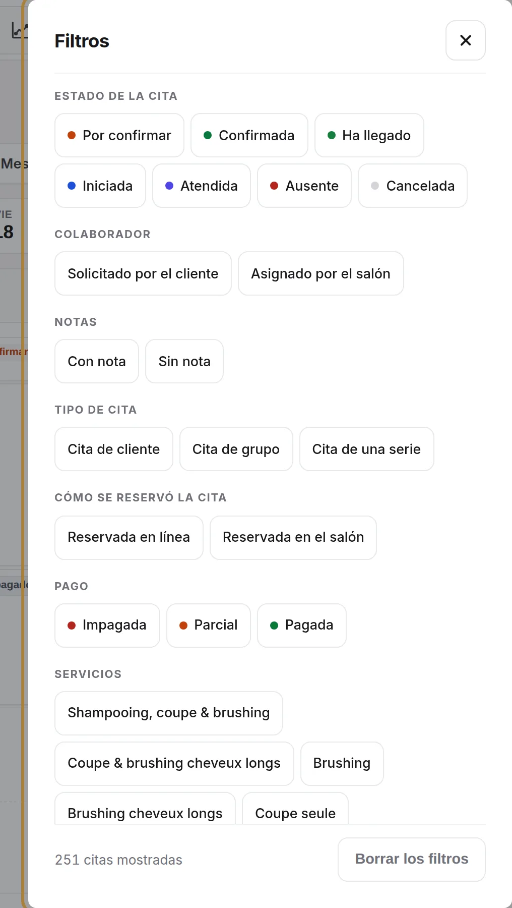 Los filtros: estado, pago, reserva en línea o en el salón, servicios, notas…