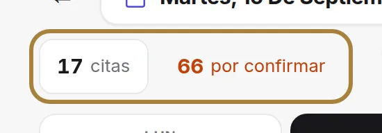 Citas activas, ingresos previstos y solicitudes por confirmar.