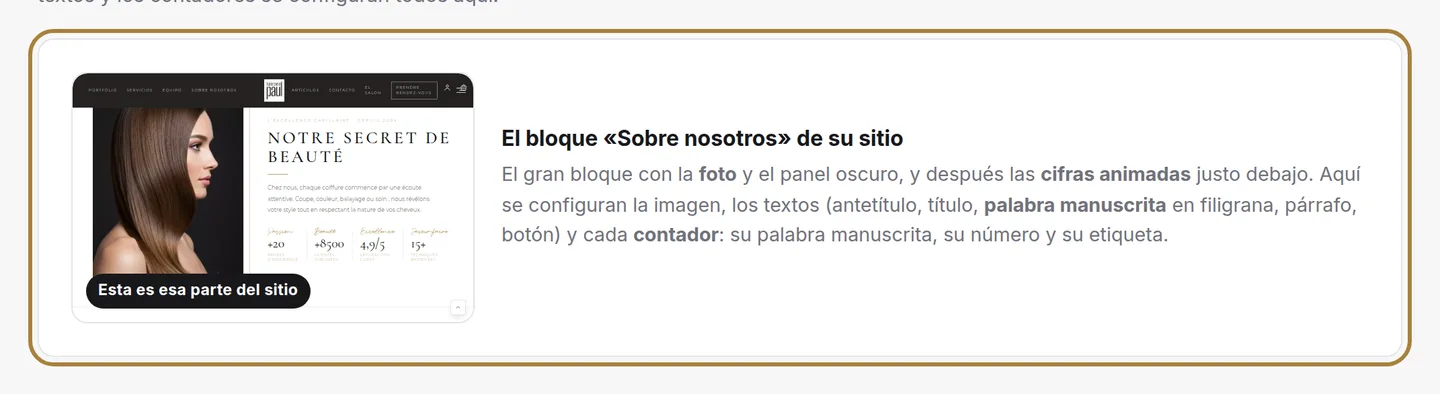 La vista previa en directo de la sección, actualizada después de cada guardado.