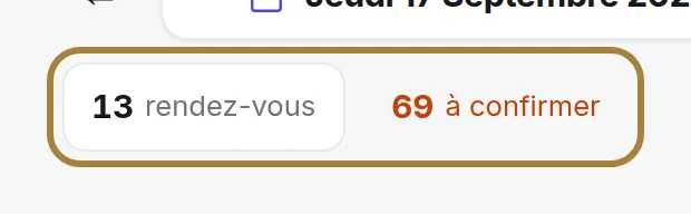 Rendez-vous actifs, recette prévue et demandes à confirmer.