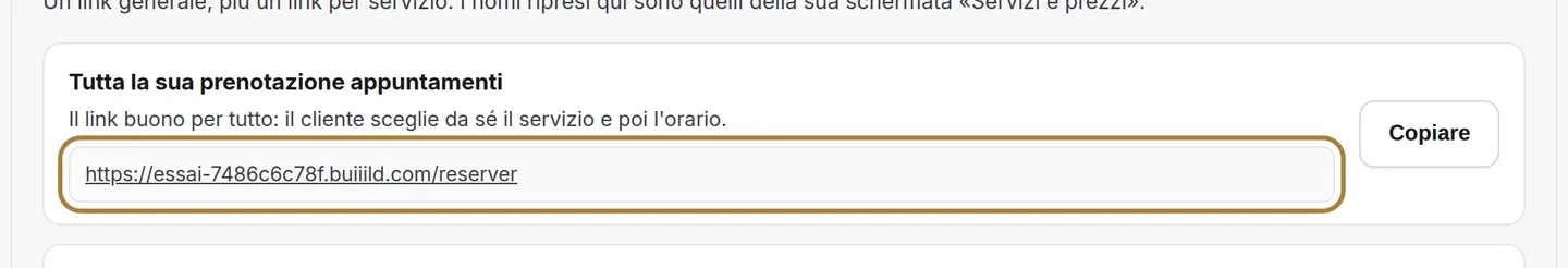 L'indirizzo, così com'è — e il pulsante per copiarlo.