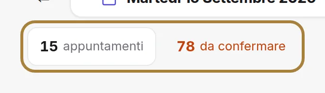 Appuntamenti attivi, incasso previsto e richieste da confermare.