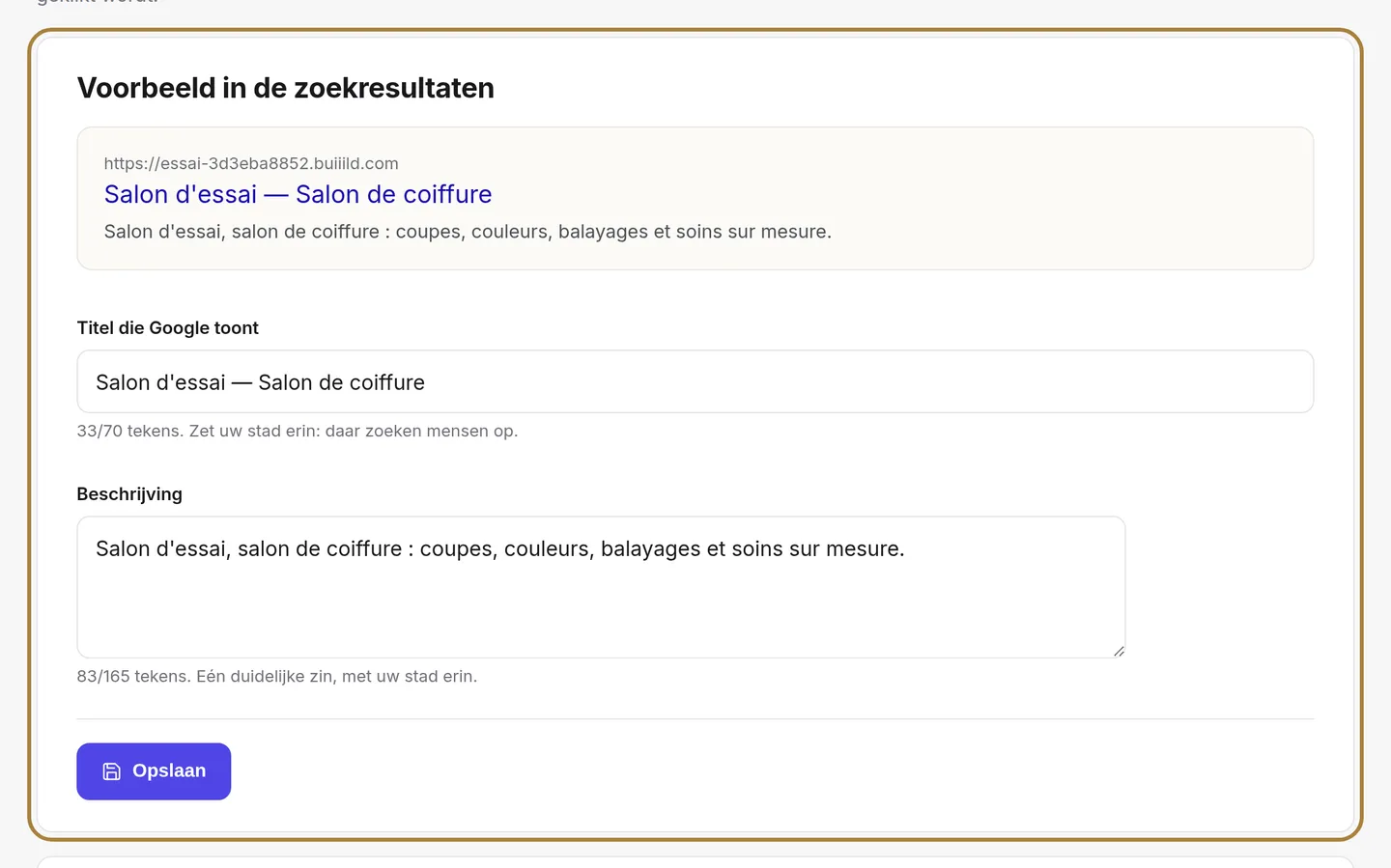 Titel en beschrijving: uw etalage op Google.