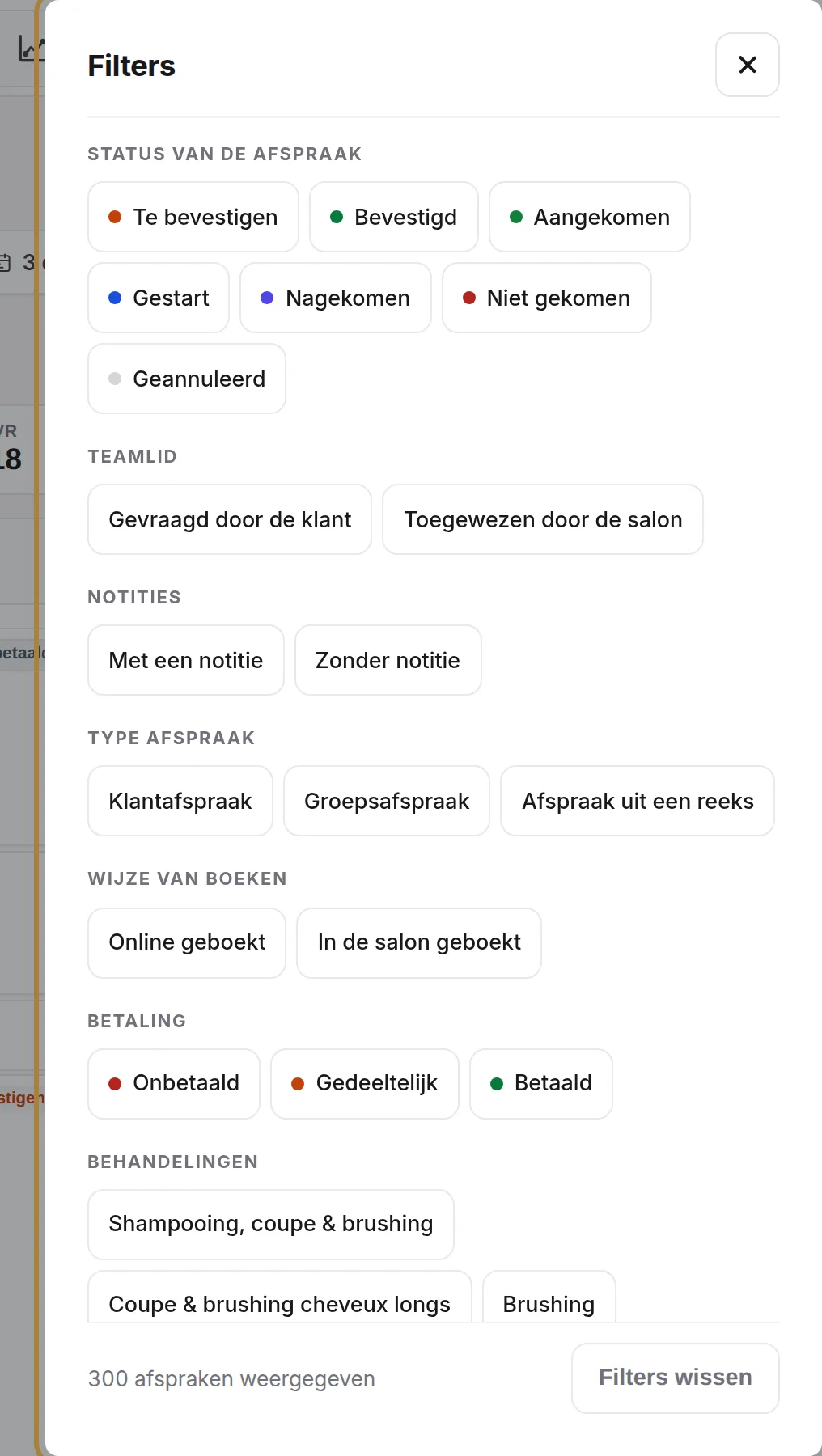 De filters: status, betaling, online of in het salon geboekt, behandelingen, notities…
