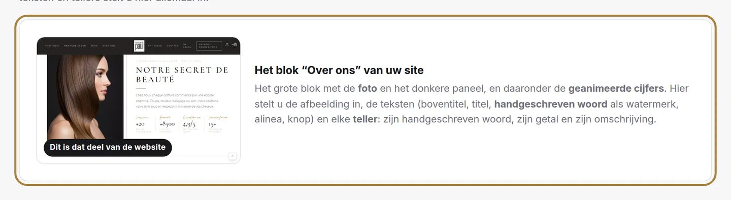 Het live voorbeeld van de sectie, bijgewerkt na elke opslag.