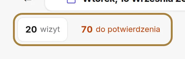 Aktywne wizyty, przewidywany przychód i prośby do potwierdzenia.