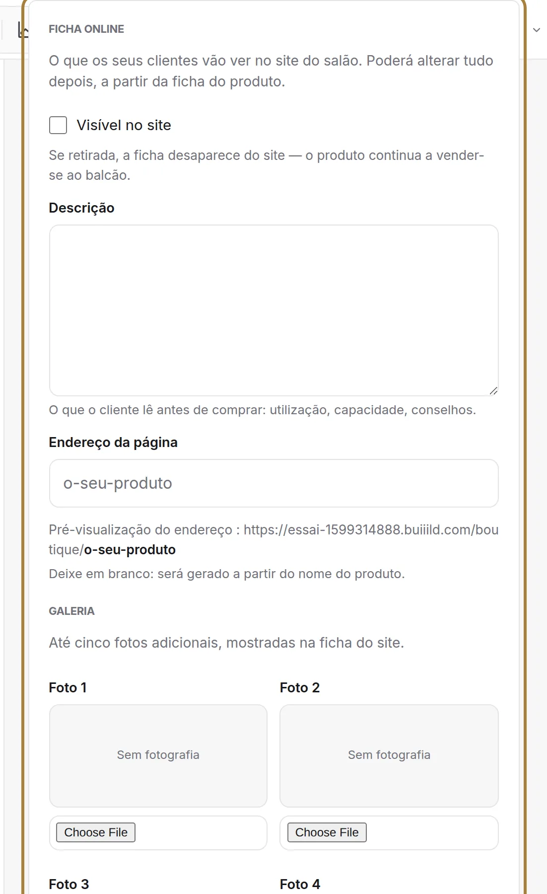 A página do site: visibilidade, descrição, endereço, fotos.