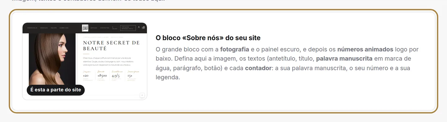 A pré-visualização ao vivo da secção, atualizada depois de cada gravação.