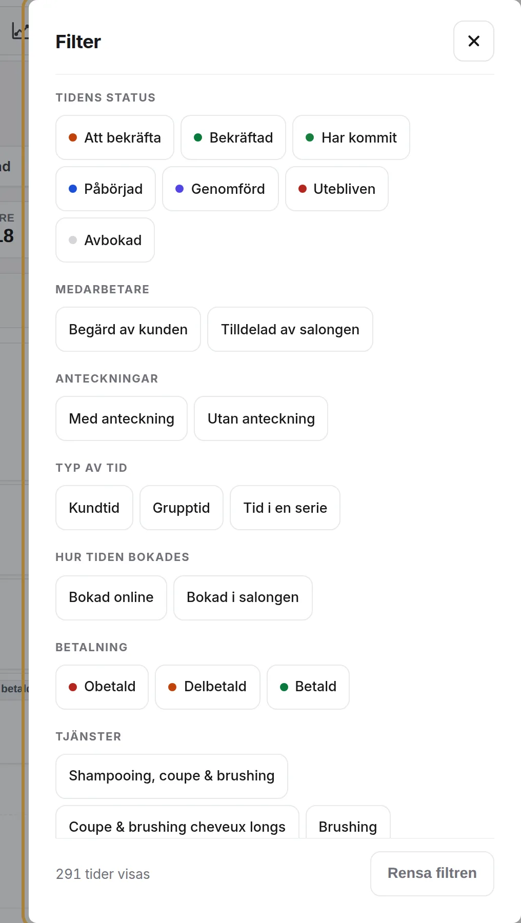 Filtren: status, betalning, bokad online eller i salongen, tjänster, anteckningar …