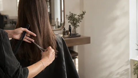 Illustration: haircut in a salon. | Buiiild.com